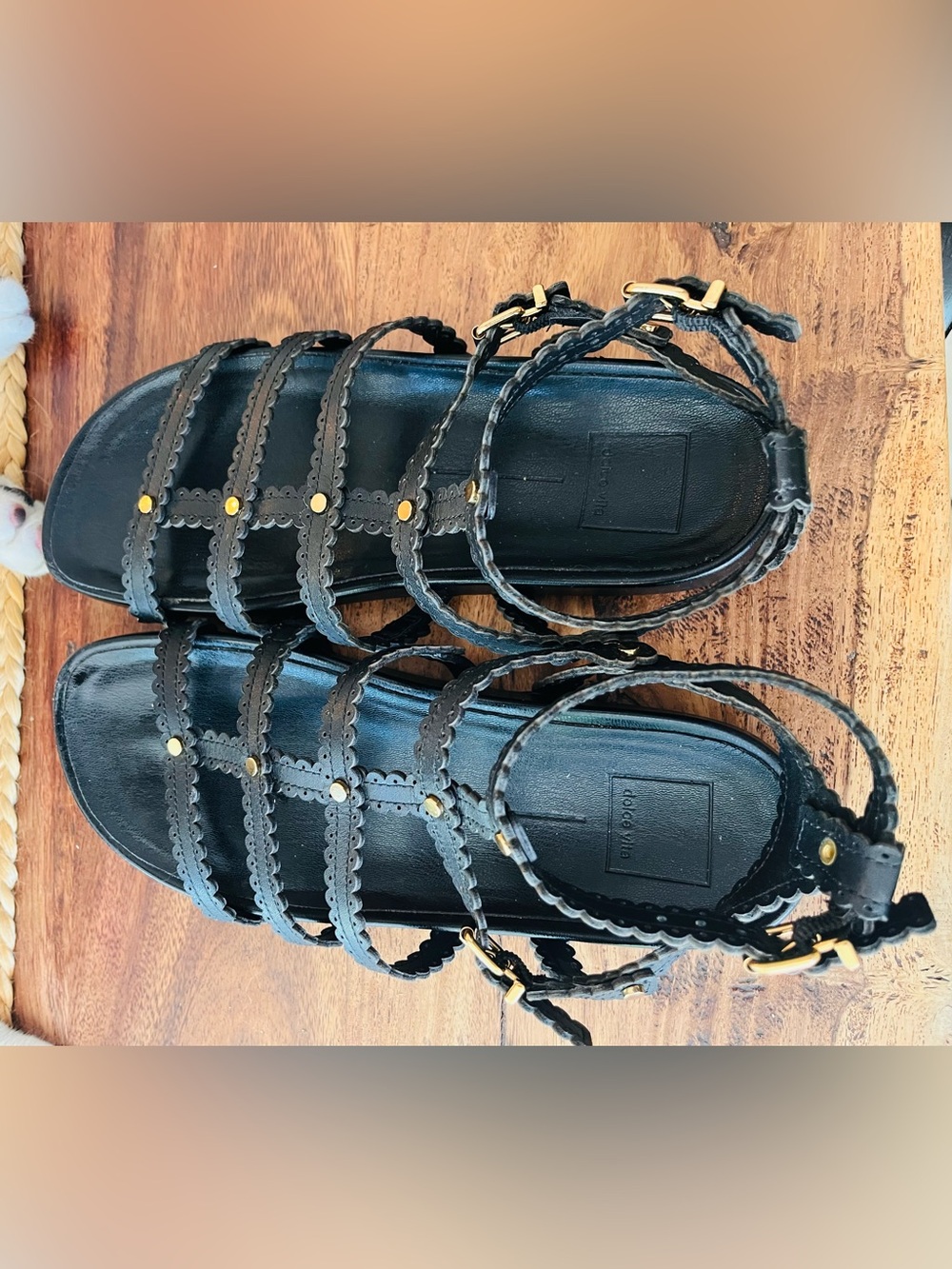 Black Gladiator Scalloped Strappy Sandals with Gold Studs - Dolce Vita